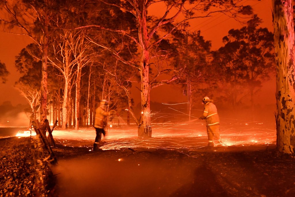 Millionals Supports Australia Wildfires Victims