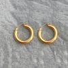 gold stainless steel earrings