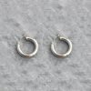 silver stainless steel earrings